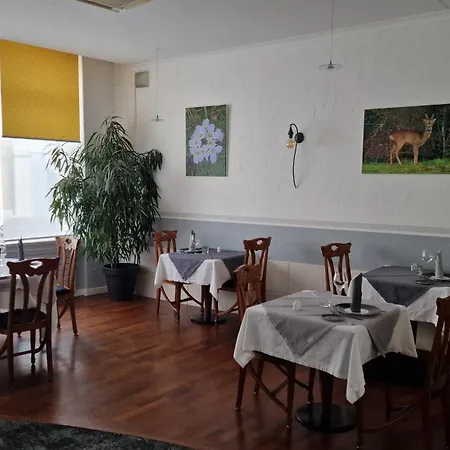 Logis Le Lion D'or Hotel