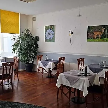 Logis Le Lion D'or Hotel