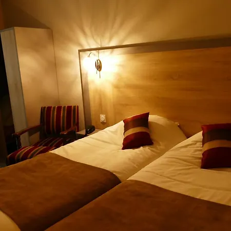 Hotel Logis Le Lion D'or